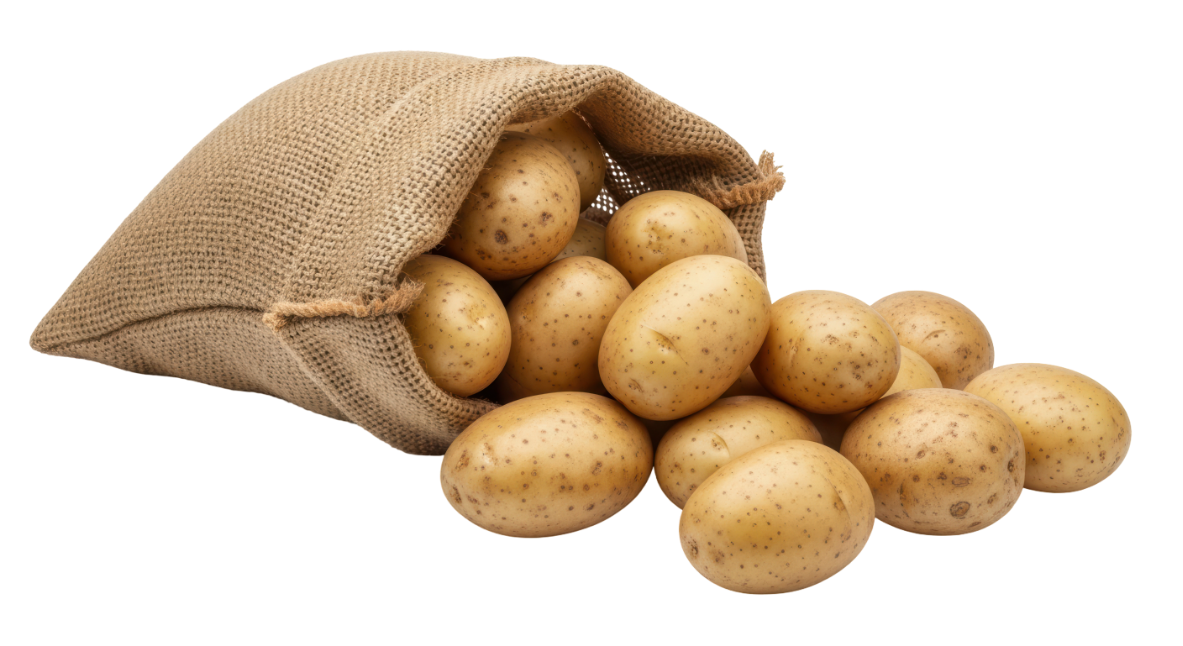 Potatoes made with a CETS Phyotron